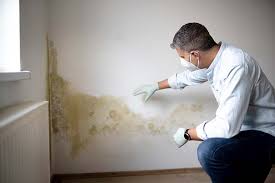 Forensic Mold Investigation in Glade Spring, VA